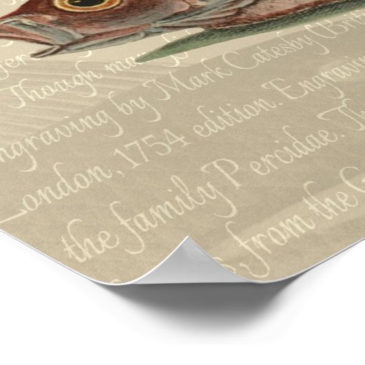 Vissers met roodbaars poster (Hoek)