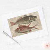 Vissers met roodbaars rechthoekige sticker (Envelop)