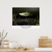 Vissers plezier poster (Keuken)