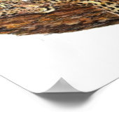 Vissers van Mannen, geschrift, inspiratie, luipaar Poster (Hoek)