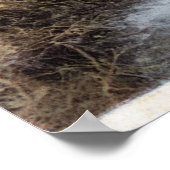 Vissers Visten op Commonwealth Creek Poster (Hoek)