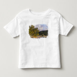 Vissersboten, Soufriere, St Lucia, Caribisch gebie Kinder Shirts