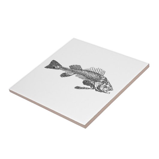 Visskelet Tegeltje (Zijkant)