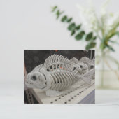 Visskeleton Briefkaart (Staand voorkant)