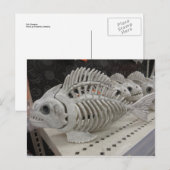 Visskeleton Briefkaart (Voorkant / Achterkant)