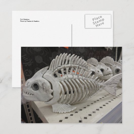 Visskeleton Briefkaart (Voorkant / Achterkant)