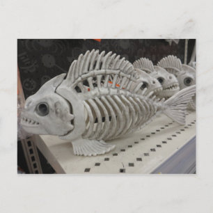 Visskeleton Briefkaart