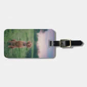 Vissla Sitting Bagagelabel (Voorkant horizontaal)