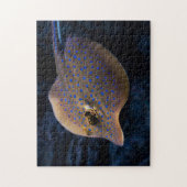 Vissoort Zee in de Oostzee Legpuzzel (Verticaal)