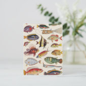 Vissoorten Briefkaart (Staand voorkant)
