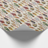 Vissoorten Cadeaupapier (Hoek)