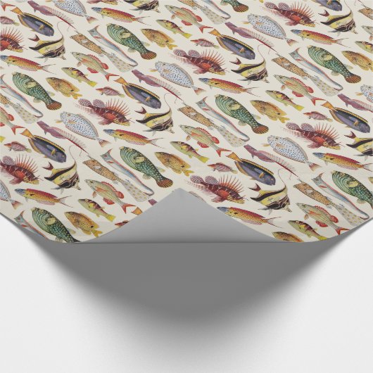 Vissoorten Cadeaupapier (Hoek)