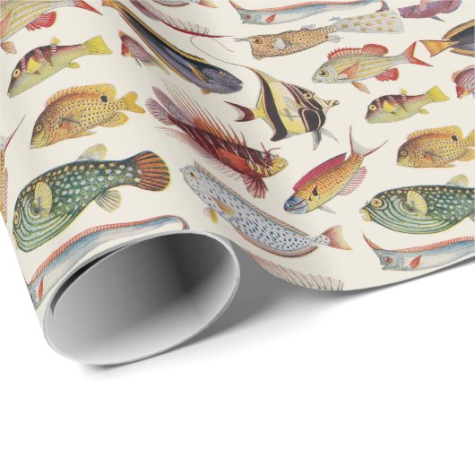 Vissoorten Cadeaupapier (Rol Hoek)