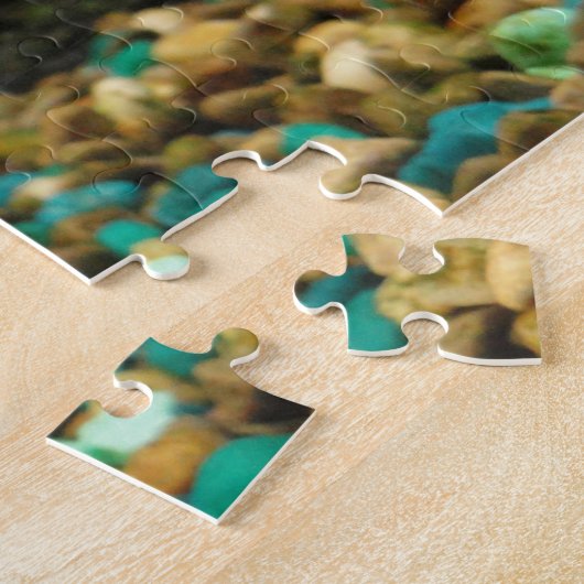 Vissoorten Legpuzzel (Zijkant)