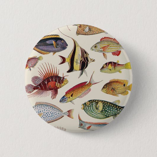 Vissoorten Ronde Button 5,7 Cm (Voorkant)