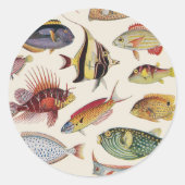 Vissoorten Ronde Sticker (Voorkant)