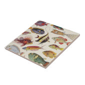 Vissoorten Tegeltje (Zijkant)