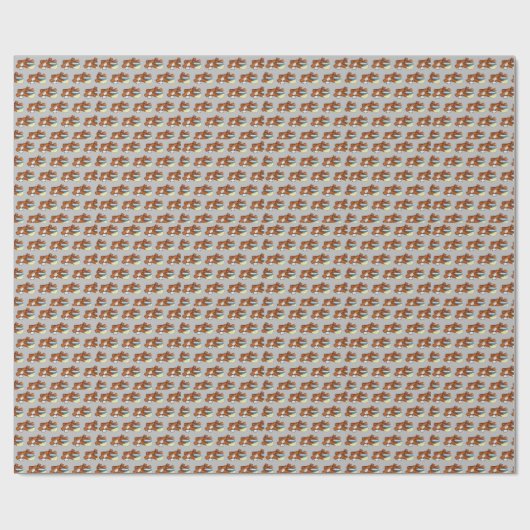 Vissticks Visvissingers Tartarsaus Cadeaupapier (Vlak)