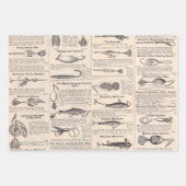  Vist: Antiek visser uit de jaren 1900 Inpakpapier Vel (Voorkant)