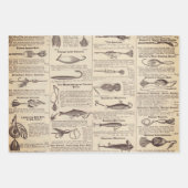 Vist: Antiek visser uit de jaren 1900 Inpakpapier Vel (Voorkant 2)