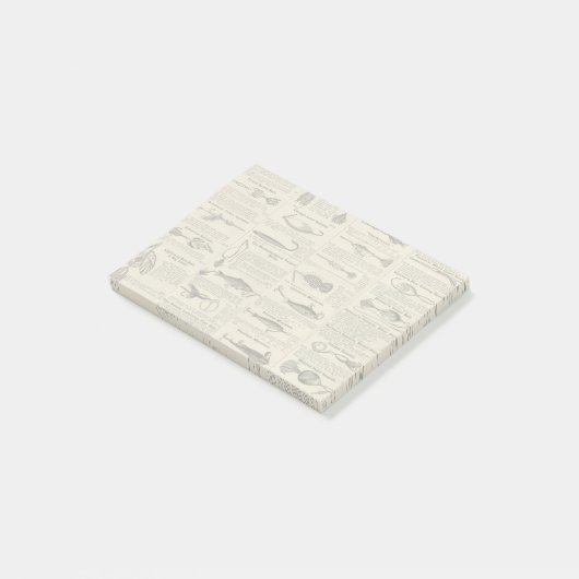  Vist: Antiek visser uit de jaren 1900 Post-it® Notes (Schuin)