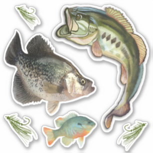 Vist Bass Blue Gill Crappie Hooks Sticker