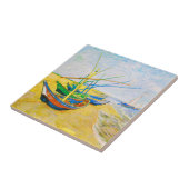 Vist Boats op het strand bij Saintes-Maries Tegeltje (Zijkant)