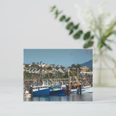 Vist boten bij Coffs Harbor Marina, Australië Briefkaart (Staand voorkant)