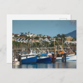 Vist boten bij Coffs Harbor Marina, Australië Briefkaart (Voorkant / Achterkant)