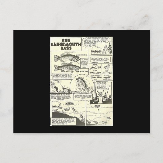 Vist Comic Book Tips Bass Baits Cute Briefkaart (Voorkant)