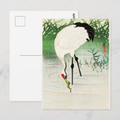 Vist Crane in Shallow Water door Ohara Koson Briefkaart (Voorkant / Achterkant)