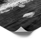 Vist de Catskills: 1890 Poster (Hoek)