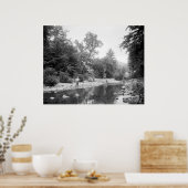 Vist de Catskills: 1890 Poster (Keuken)