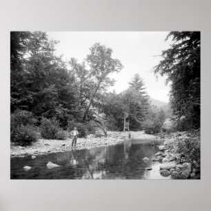 Vist de Catskills: 1890 Poster