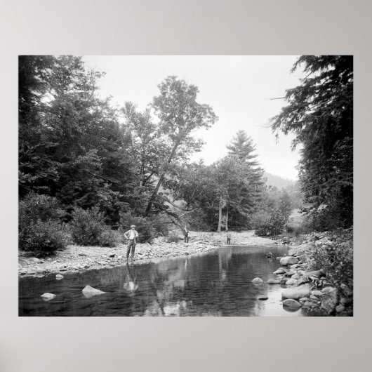 Vist de Catskills: 1890 Poster (Voorkant)