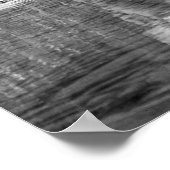 Vist de Catskills: 1890 Poster (Hoek)