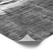 Vist de Catskills, jaren 1890 Poster (Hoek)