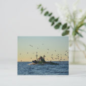 Vist een boot en een kudde. briefkaart (Staand voorkant)