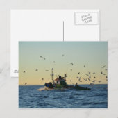 Vist een boot en een kudde. briefkaart (Voorkant / Achterkant)