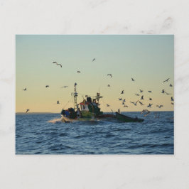 Vist een boot en een kudde. briefkaart