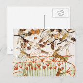 Vist en neigt in de moerassen briefkaart (Voorkant / Achterkant)