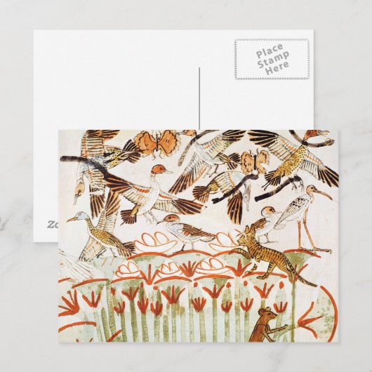 Vist en neigt in de moerassen briefkaart (Voorkant / Achterkant)