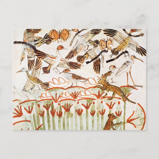 Vist en neigt in de moerassen briefkaart (Voorkant)