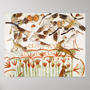 Vist en neigt in de moerassen poster