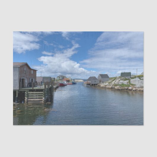 Vist het giftepapier voor de kleeflaag van Village Tissuepapier (Voorkant)