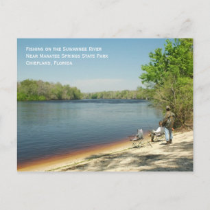 Vist het Suwannee-Briefkaart Briefkaart