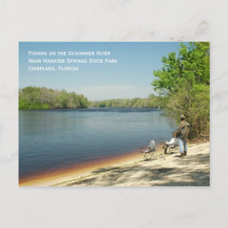 Vist het Suwannee-Briefkaart Briefkaart