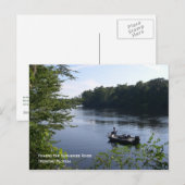 Vist het Suwannee-Briefkaart Briefkaart (Voorkant / Achterkant)