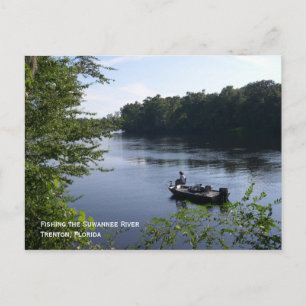 Vist het Suwannee-Briefkaart Briefkaart