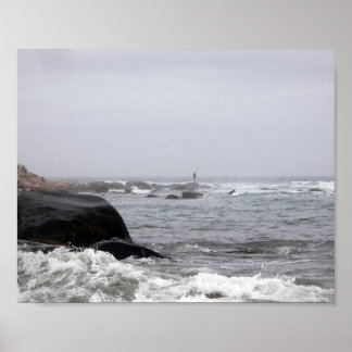 Vist in de lijst poster